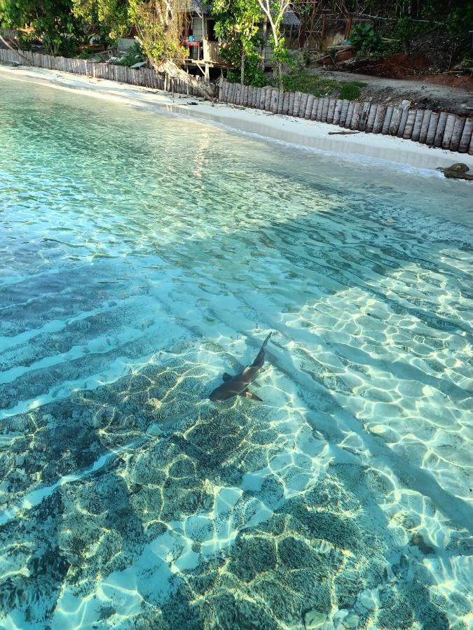 Warahnus Dive Homestay Kri Exterior photo